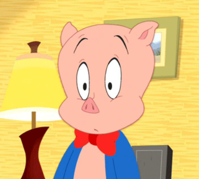 Pork pig UH OH